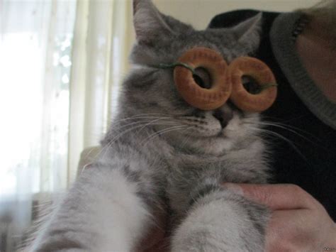 окуляры | Пикабу