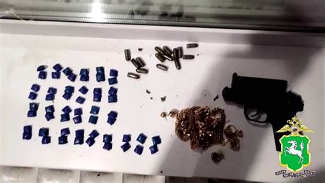 Тайник с оружием и золотом обнаружили в квартире братьев-наркоторговцев ...