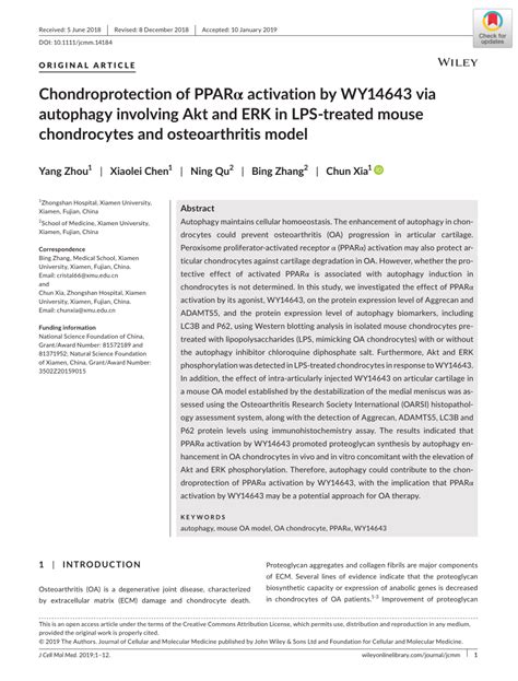 Pdf Chondroprotection Of Ppar Activation By Wy Via Autophagy