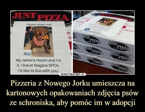 Pizzeria Z Nowego Jorku Umieszcza Na Kartonowych Opakowaniach Zdj Cia