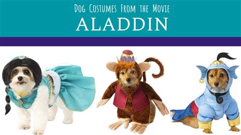 Disney Dog Costumes for Halloween - Highlights Along the Way