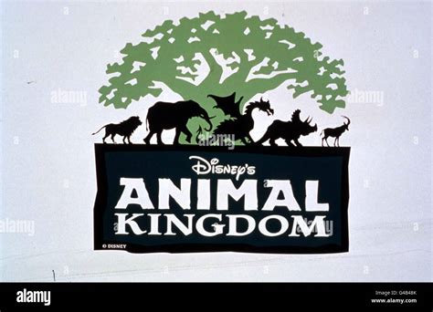 DISNEY/Animal Kingdom logo Stock Photo: 105965683 - Alamy