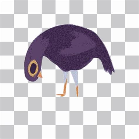 Trash Doves Meme  Animation To Put Your Photo In