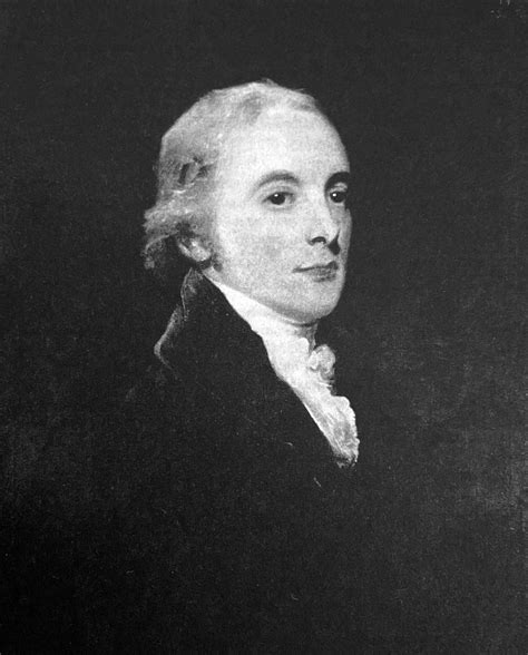 The Mysterious Schooler Amarillo: Understanding its Unique Characteristics 9