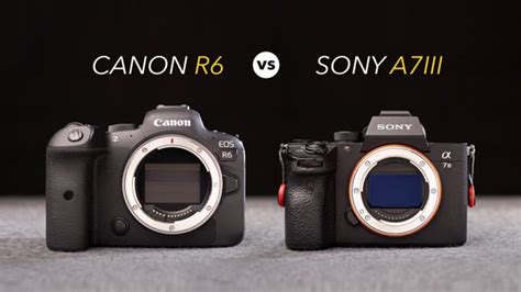 Canon Eos R Vs Sony A Iii The Main Differences And Full