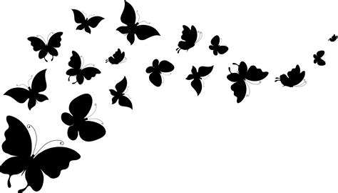 Picture Butterflies Animals Vector Graphics 5418x3097