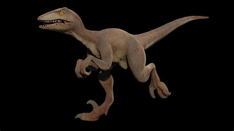 Velociraptor Dinosaurier Kostenloses Foto Auf Pixabay