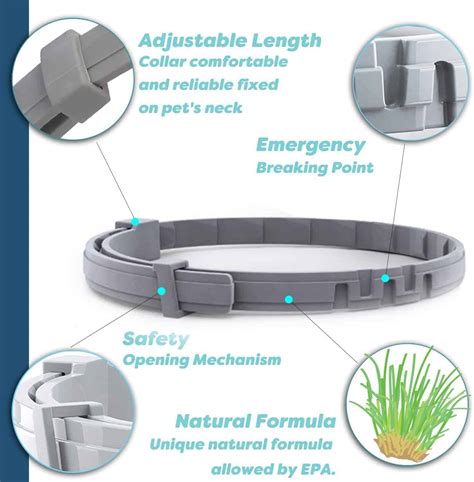 Best Cat Flea Collars Rid Yourself Of Pests This November 2023