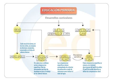 Currículo Lomloe De Educación Primaria