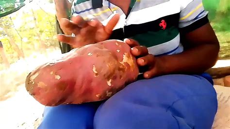 Balloon Porn Videos XHamster