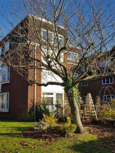 2 Bedroom Flat For Rent In New Road Bromsgrove Worcestershire B60