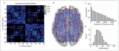 Anatomic Brain Network Derived From Dti A The Connectivity Matrix Download Scientific Diagram