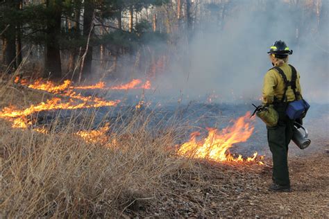 Nov Prescribed Burn In Lake Prairie Schmeeckle Reserve Flickr