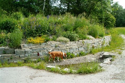 Projekt Naturschutzgebiet H Chstern Balger Natur Umwelt Und