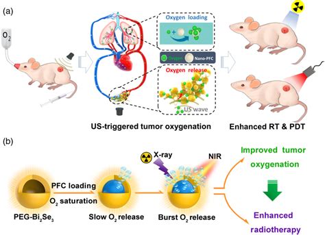 Oxygen Nanoshuttles For Tumor Oxygenation And Enhanced Cancer Treatment