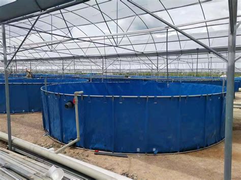 Steel Frame Custom Fish Farming Tank