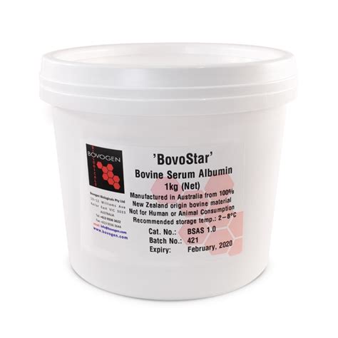 Что такое альбумин пищевой – Telegraph