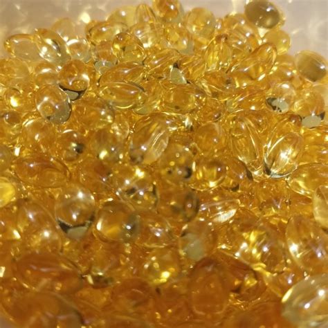 Jual Minyak Ikan Fish Liver Oil Shopee Indonesia