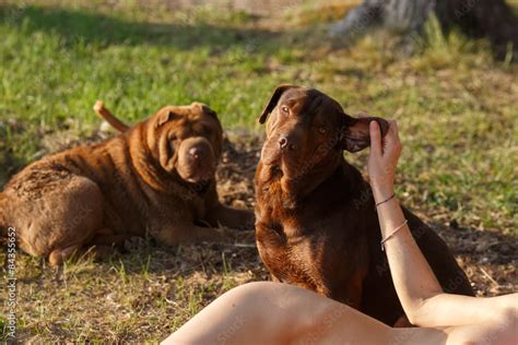 Naked woman caresses her dog Stock Photo | Adobe Stock