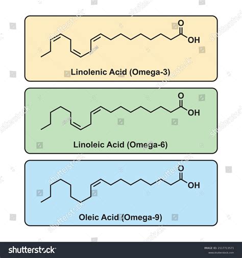 Linoleic Acid Chemical Formula Images Browse Stock Photos Vectors