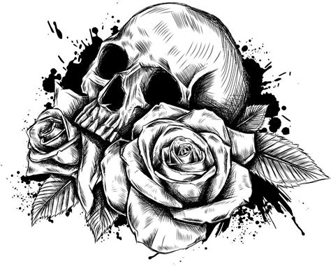 Skull And Rose Drawing