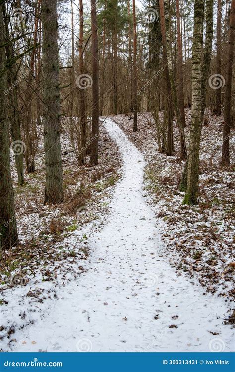 Frozen Trails: Discovering Tervete S Wintertime Charm Stock Image ...