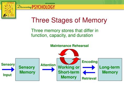 Ppt Chapter 6 Memory Powerpoint Presentation Free Download Id5639883