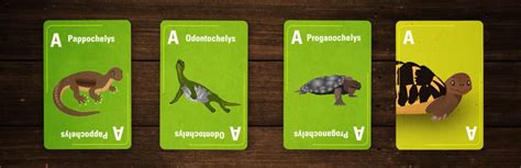 Digiseum | Staatliches Museum für Naturkunde Stuttgart