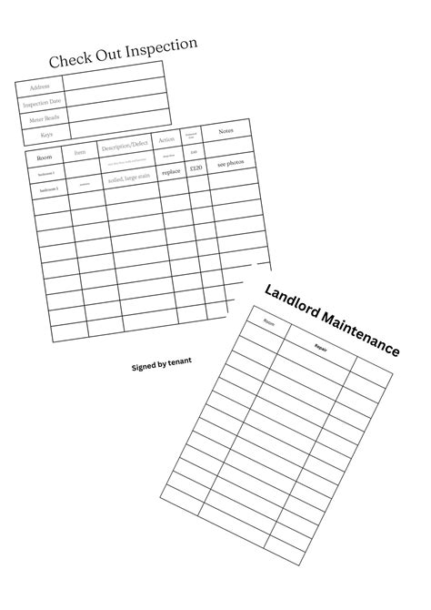 Tenant Check Out Inspection Property Inspection End Of Tenancy