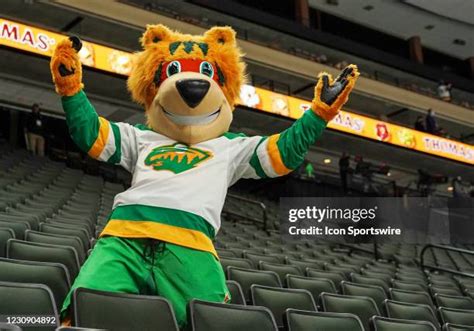 minnesota wild mascot   premium high res pictures getty images