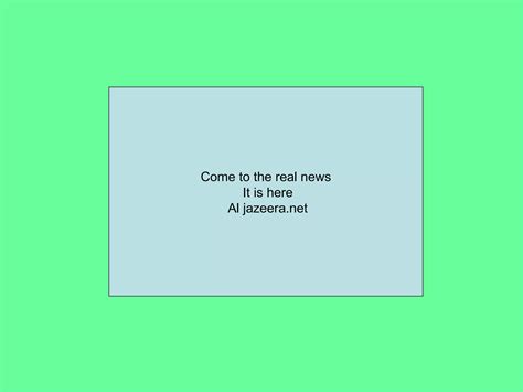 Al Jazeera Net 10