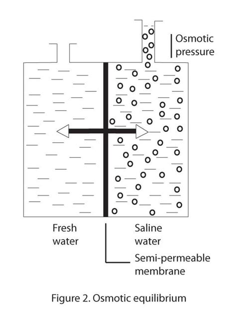 Best Reverse Osmosis System: Reviews And Complete Buying Guide - Water Evidence