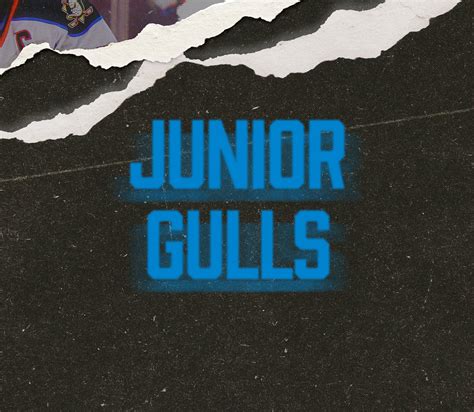 Snagging gulls hockey tickets for cheap is possible with this tip 20