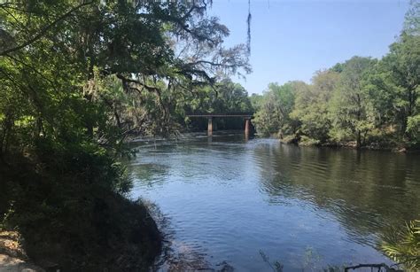 Best Hikes And Trails In Suwannee River State Park Alltrails