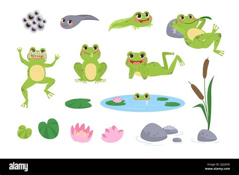 Happy Cartoon Frogs Vector Illustrations Set Drawings Of Cute Green Amphibian Resting Jumping