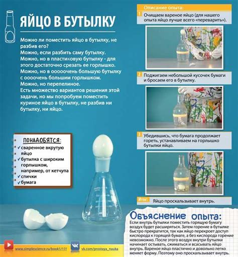 Опыты для детей 7-8 лет: в домашних условиях