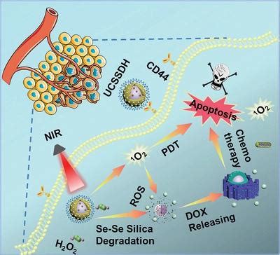 Near Infrared Light Triggered Intelligent Nanoplatform For Synergistic