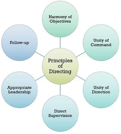 What Is Directing Definition Characteristics And Principles