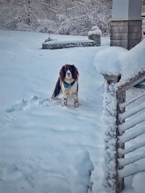 A Cozy Snow Day on the Coast of Maine - Molly in Maine