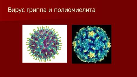Противогрибковые средства - online presentation