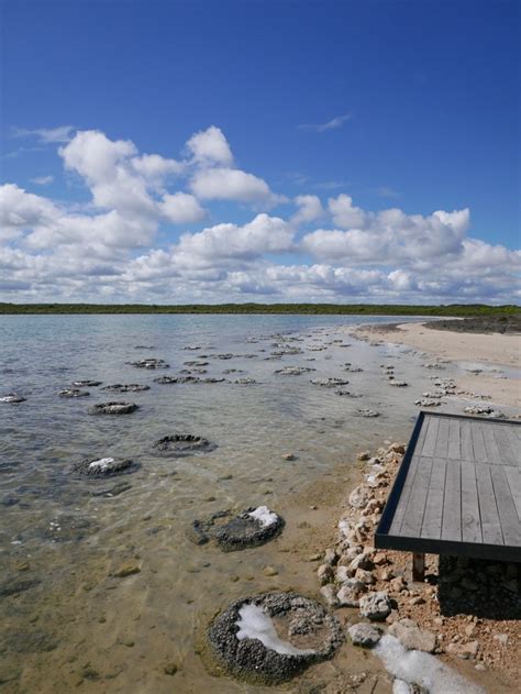 Stromatolites and Lake Thetis, Cervantes WA 6511, Australia