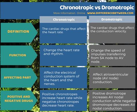 Difference Between Chronotropic And Dromotropic Compare The