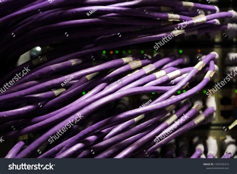 network switch cables stock photo  shutterstock