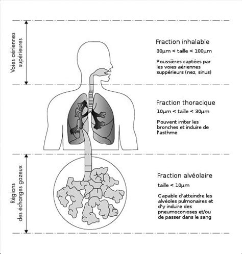 La Filtration De Poussi Re Et Les Vlep La R Glementation En D Tail