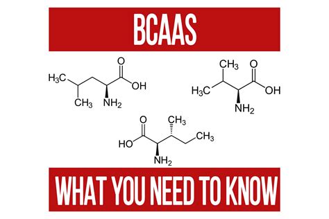 BCAAs - Anabolic & Anti-Catabolic - N1 Training