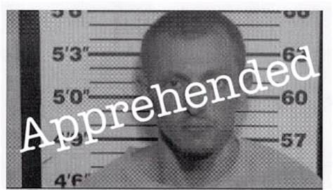 Using the monroe county jail inmate lookup is surprisingly fast 14