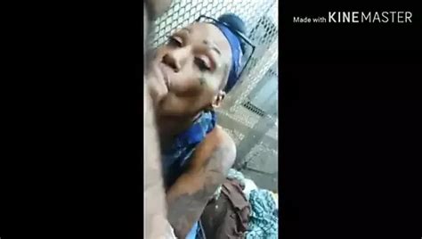 One Nut Swallowed The Other Busted On Face Free Porn Xhamster