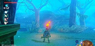 How Do You Get To The Shrine Below Sturnida Secret Hot Spring The Legend Of Zelda Breath Of