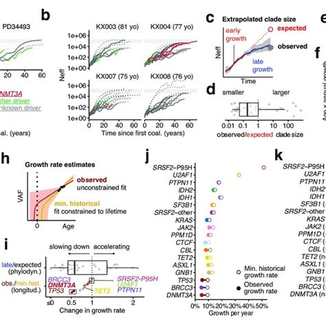 Pdf The Longitudinal Dynamics And Natural History Of Clonal