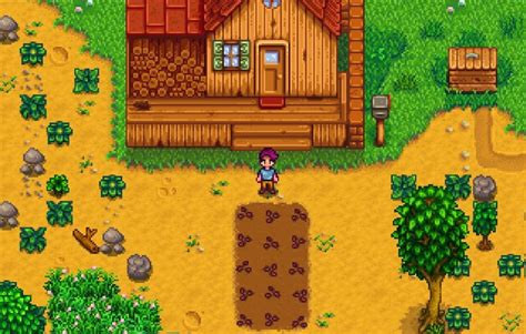 My First Time Playing Wish Me Luck Rstardewvalley